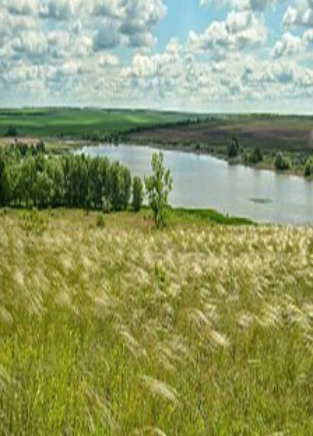 Село мое родное. Краеведческая игра