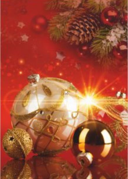 Новогоднее саксофон-шоу