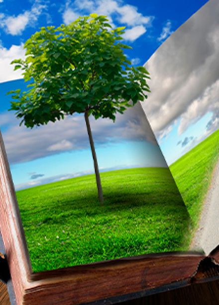 Чудеса любого рода есть у матушки-природы. Экологическая игра