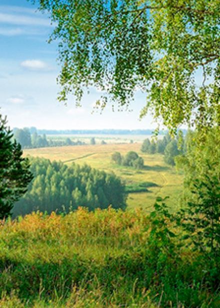 Вот она какая – сторона родная!